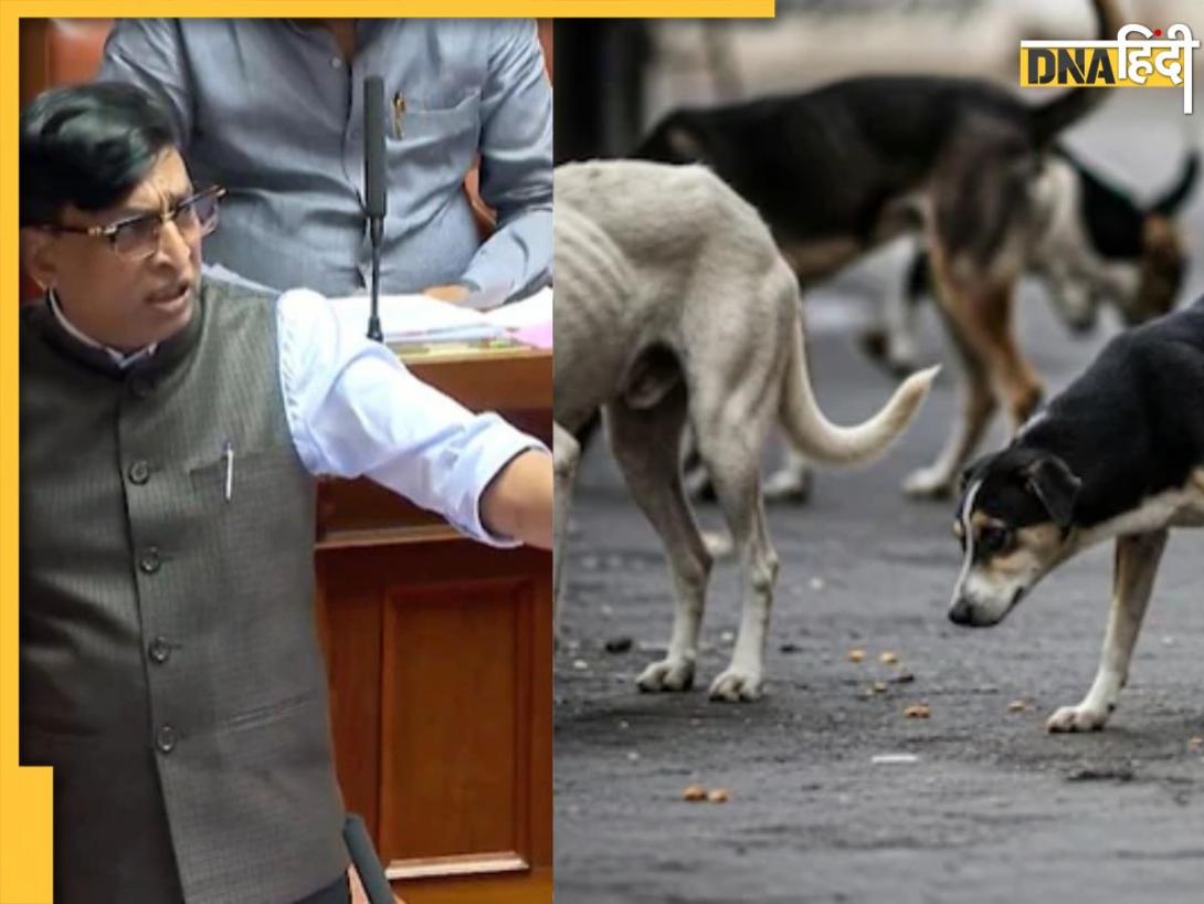 JDS नेता का चौंकाने वाला कुबूलनामा- 2800 कुत्तों को जहर देकर मारा और दफना दिया, जेल जाने को भी तैयार