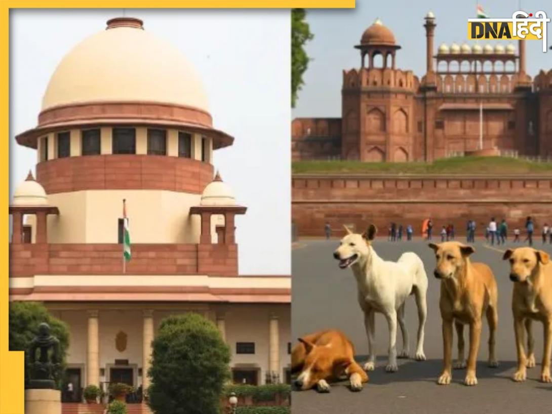 आवारा कुत्तों को लेकर सुप्रीम कोर्ट ने की सुनवाई, Sc ने वकीलों की बहस के बाद सुरक्षित रखा फैसला