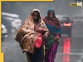 Weather Update: पश्चिम यूपी से लेकर दिल्ली एनसीआर में पैर पसार रही ठंड, पछुआ हवाओं से गिरा पारा