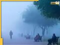 Delhi-NCR Weather: हल्की धुंध के साथ सुबह और रात में रहेगी ठंड, जानें दिल्ली एनसीआर से लेकर हरियाणा के मौसम का हाल