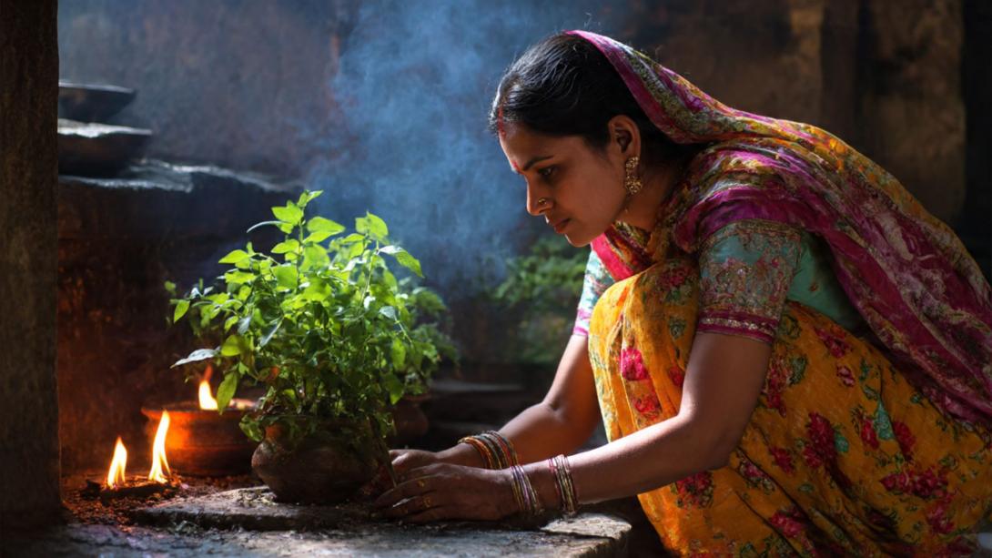 Never Offer These Things In Tulsi: तुलसी के पौधे पर भूलकर भी न चढ़ाएं ये 4 चीजें, नहीं तो पड़ जाएंगे लेने के देने