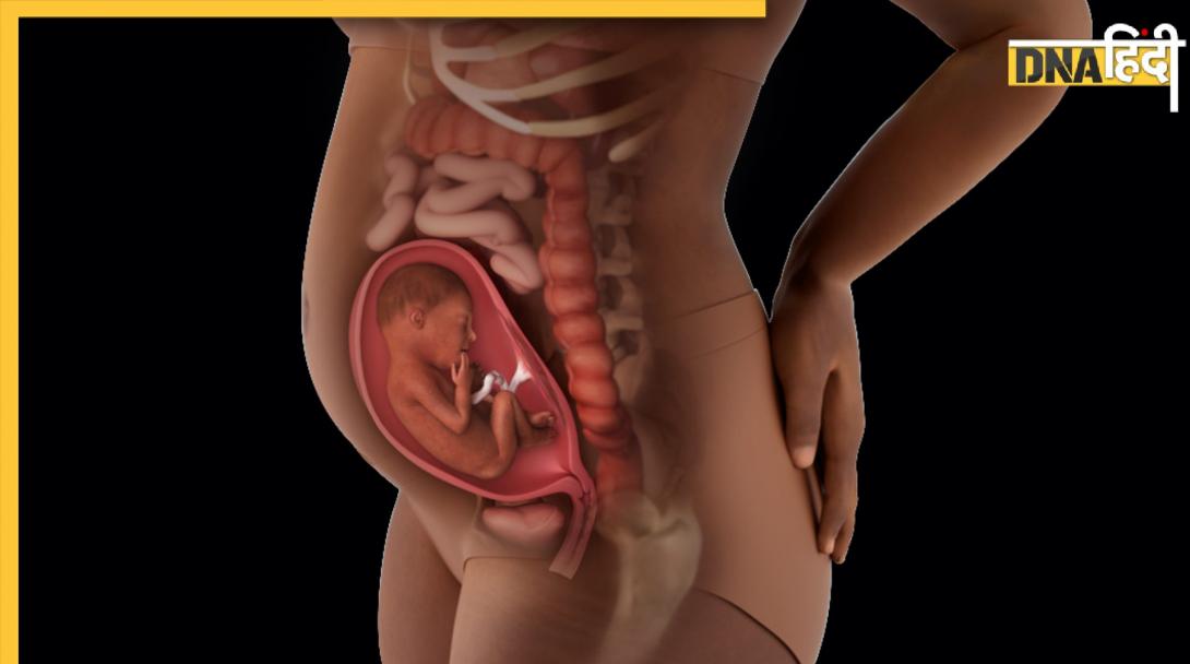 5 cm चौड़े गर्भ में कैसे पलता है 3 Kg का बच्चा? डॉक्टर ने खोला मां के शरीर के इस अद्भुत लचीलेपन का राज