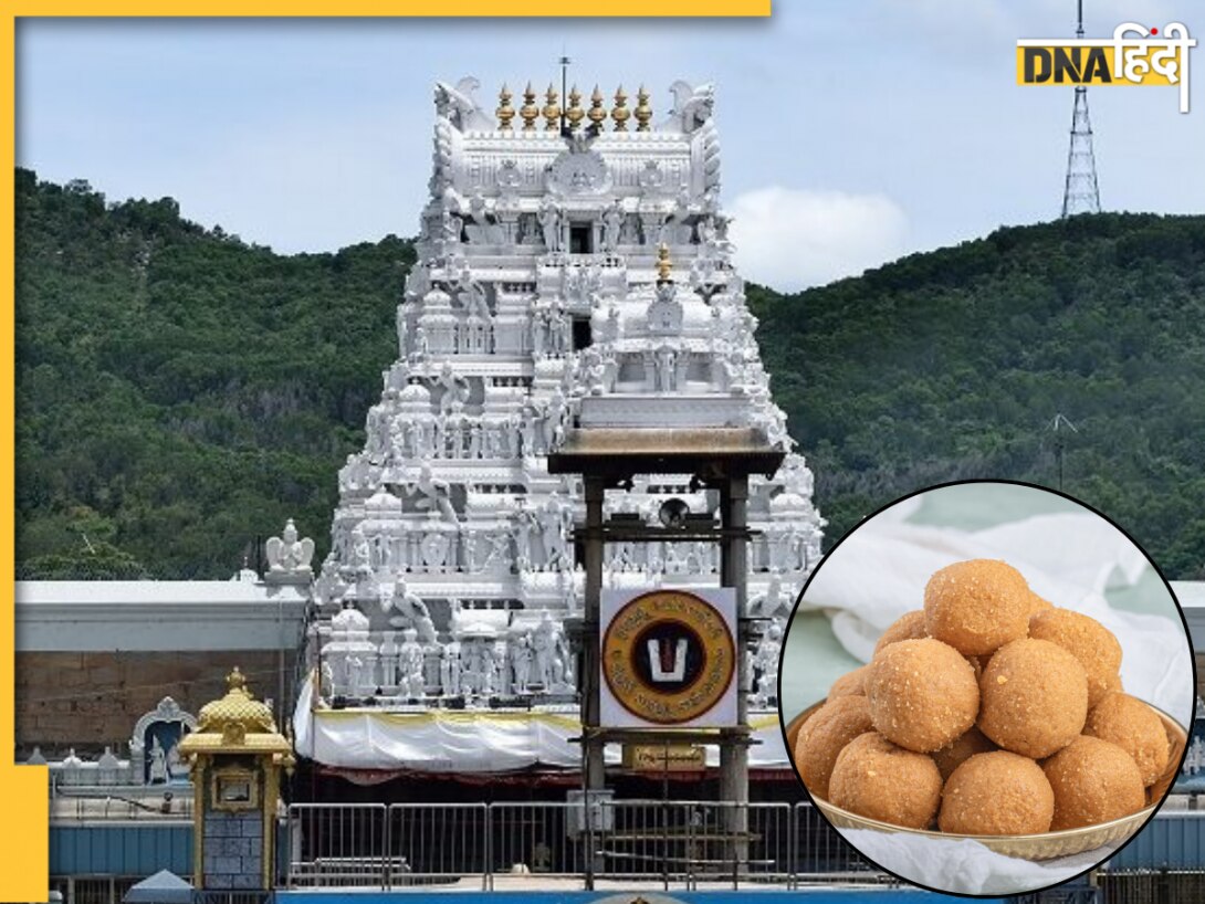 Tirupati Laddu Scam: 250 करोड़ का स्कैम! 5 साल तक नकली घी से चढ़ रहा था प्रसाद, जानें कैसे हुआ खुलासा