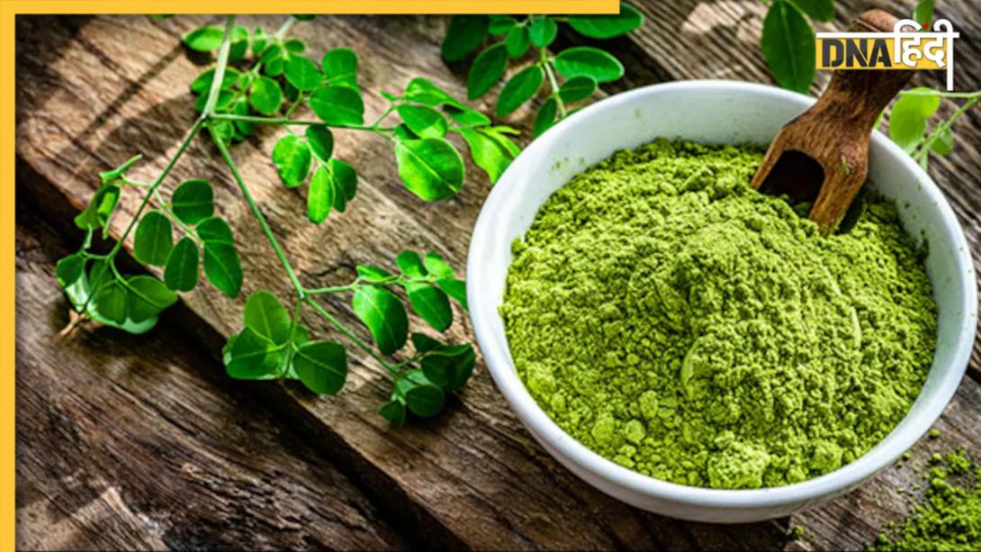 रोज सिर्फ 1 से 2 चम्मच रोज फांक लें ये हरा पाउडर, कोलेस्ट्रॉल-डायबिटीज और यूरिक एसिड सब होगा कंट्रोल
