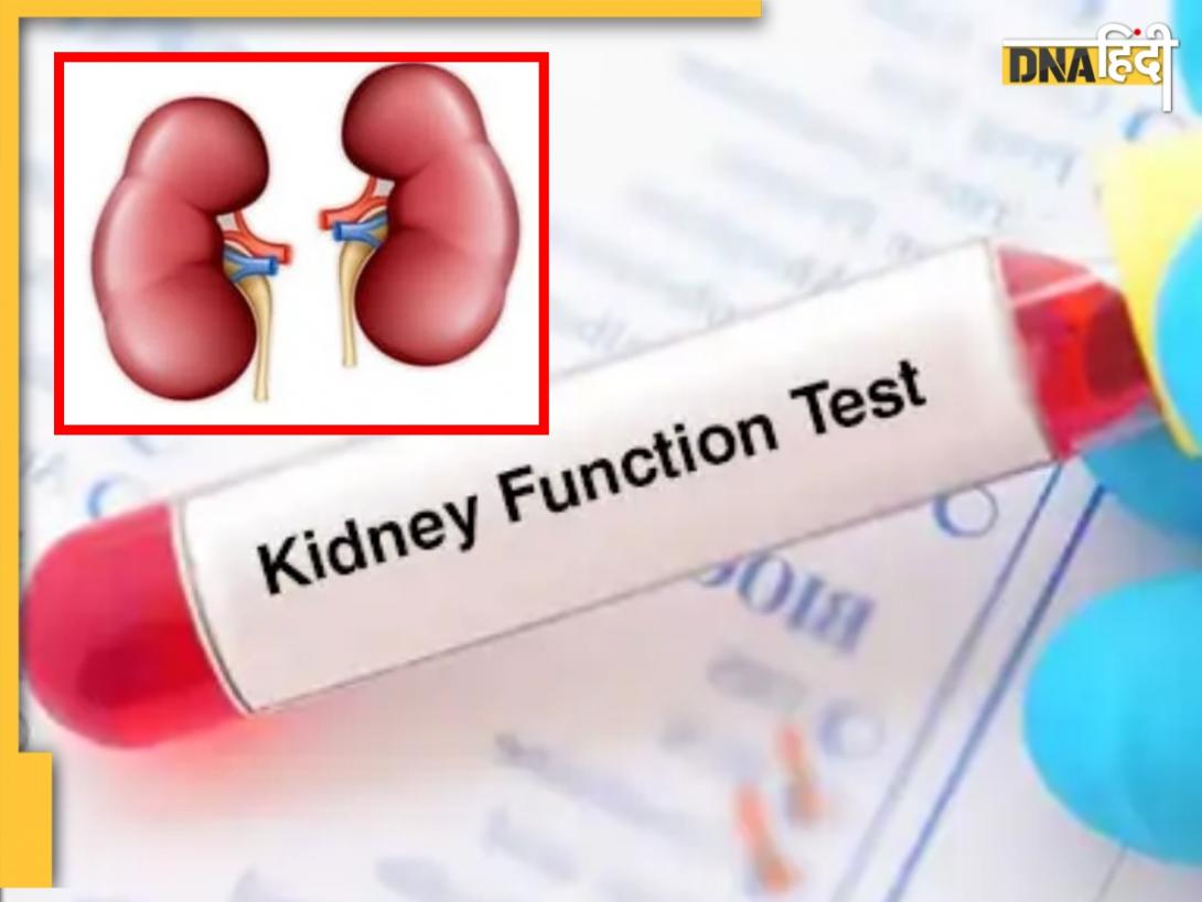Kidney Function Test: शरीर में दिख रहे हैं ये लक्षण तो तुरंत कराएं ये जांच, किडनी में खराबी के हो सकते हैं संकेत