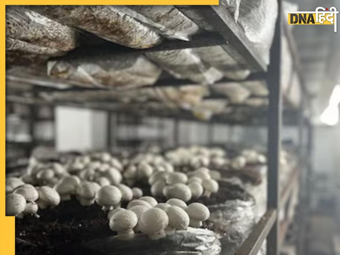 25 लाख की नौकरी को लात मारकर शुरू किया बिजनेस, आज बना दी 25 करोड़ की कंपनी; आप भी ले सकते हैं सीख