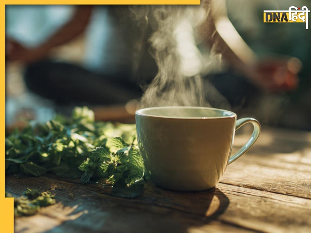 Herbal Tea: आलस-थकान भगाने के लिए कैफीन नहीं, पिएं ये हर्बल-टी, दिमाग होगा रिफ्रेश और तेज होगी याददाश्त