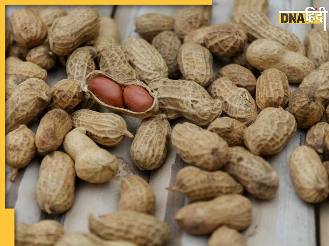 Winter Snacks: ये है सर्दियों का सबसे सस्ता एनर्जी बूस्टर, ऐसे खाएंगे तो फायदा होगा दोगुना