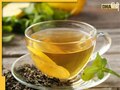 Green Tea Side Effects: ग्रीन टी पीने वाले भूलकर भी न करें गलतियां, पेट दर्द से लेकर हो सकती हैं ये बीमारियां