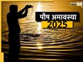 Paush Amavasya 2025: 19 या 20 को, दिसंबर में कब है पौष अमावस्या? जानिए सही तिथि और शुभ मुहूर्त 