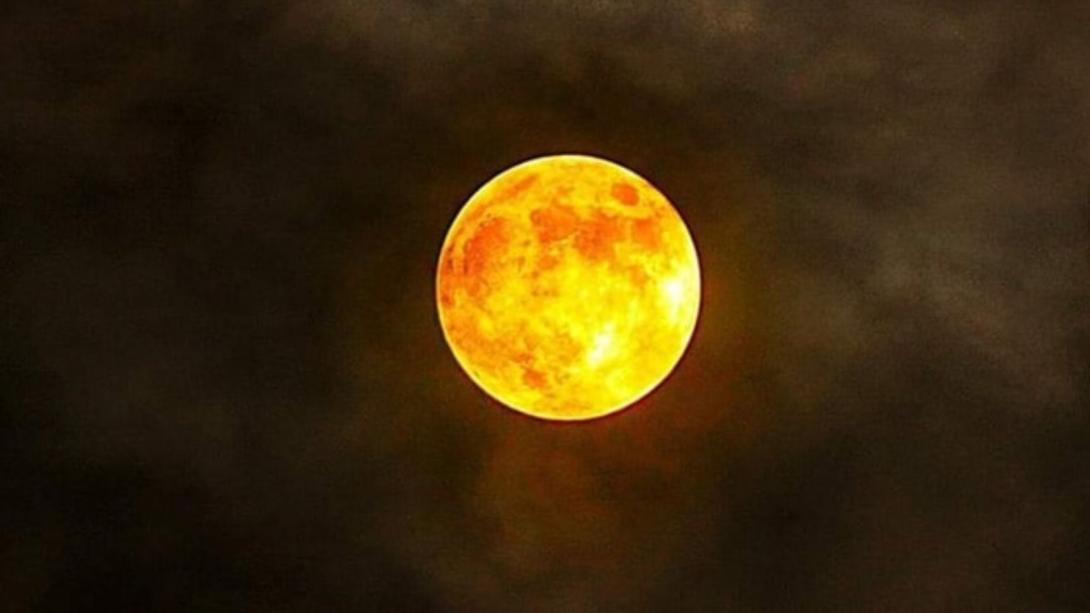 2026 में ग्रहों के राजा सूर्य के गोचर से इन राशियों के जातकों का शुरू होगा गोल्डन टाइम, हर काम में मिलेगी सफलता