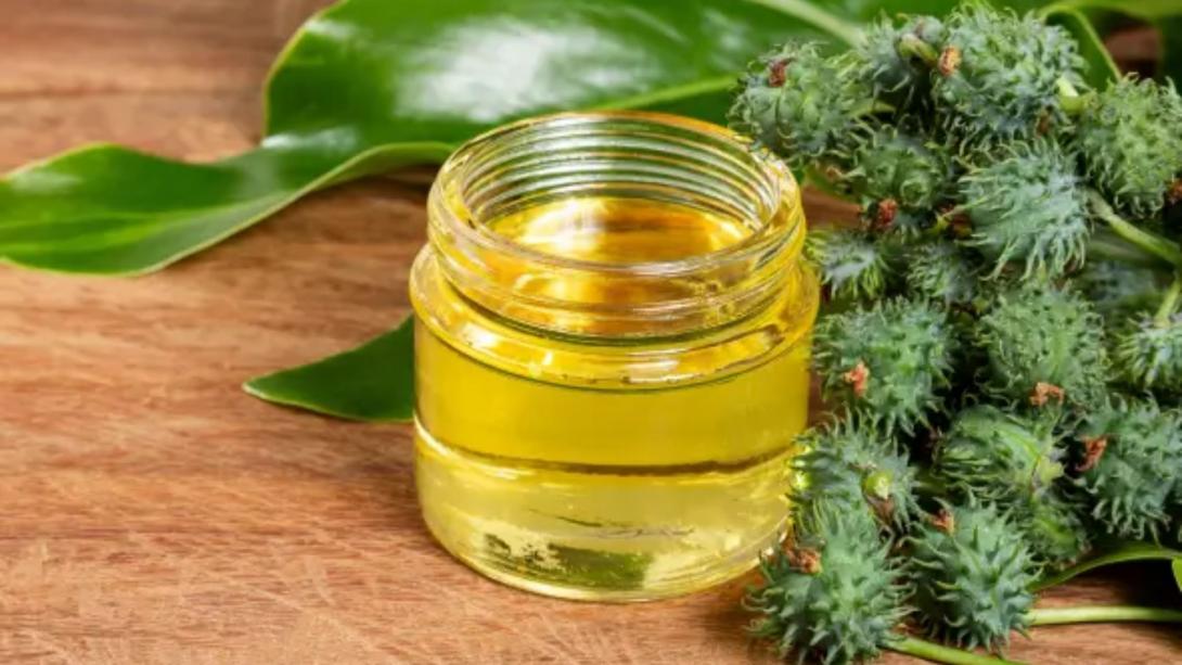 Ayurvedic Oil For Health: सर्दी में शरीर की जकड़न से लेकर चेहरे के दाग धब्बों को दूर कर देगा ये तेल, शीशे सी चमकेगी स्किन