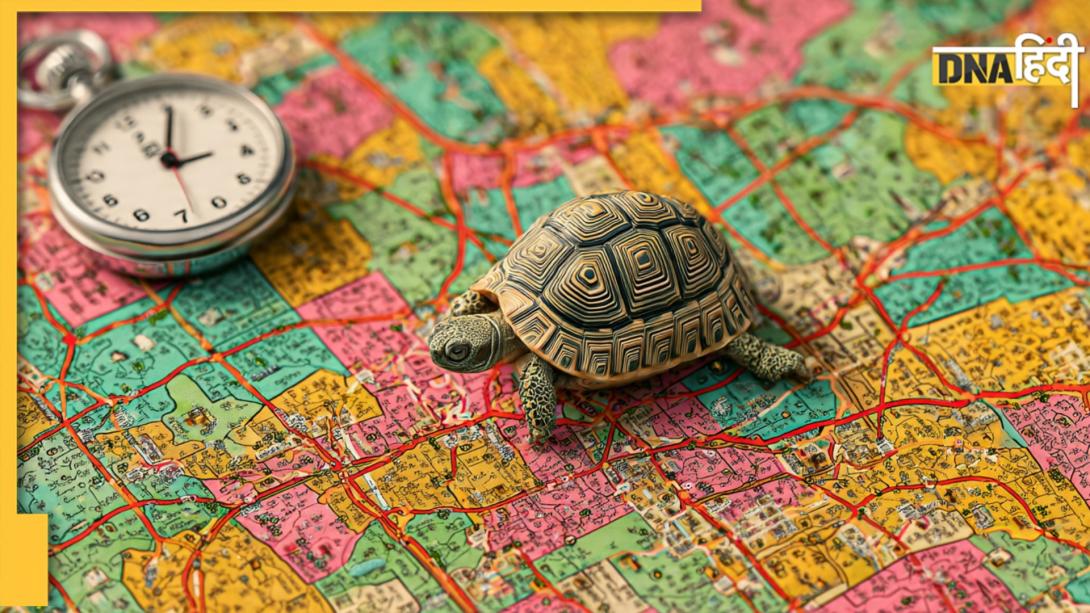 कछुए की चाल में भी दो घंटे में नाप लेंगे पूरा जिला, भारत के सबसे छोटे डिस्ट्रिक्ट की ये बातें हैरान कर देंगी