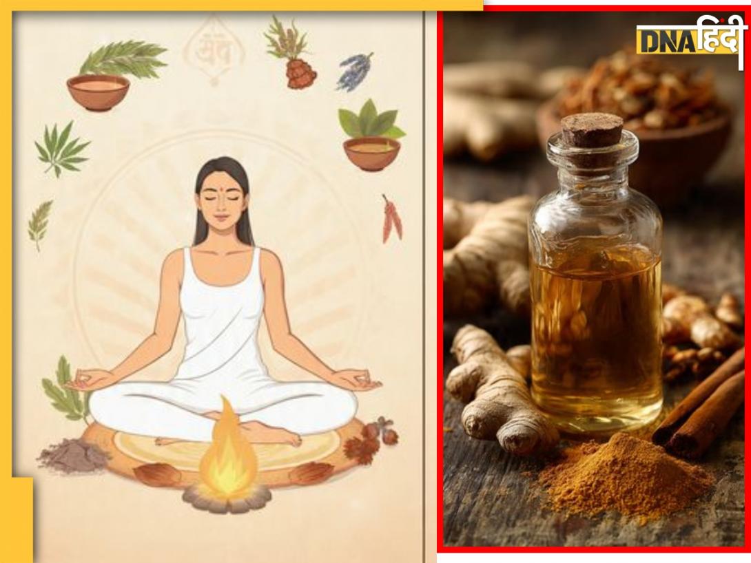 Ayurvedic Upay For Asthma: अस्थमा के हैं मरीज? ठंड के मौसम में बढ़ रही है समस्या तो अपनाएं ये आयुर्वेदिक उपाय