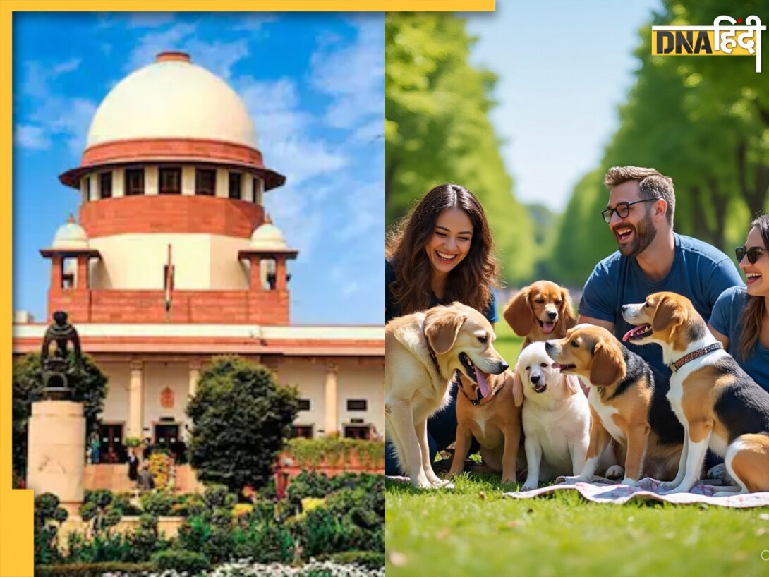 कुत्तों के काटने पर अब देना होगा मुआवजा, सुप्रीम कोर्ट ने तय की डॉग लवर्स की जवाबदेही