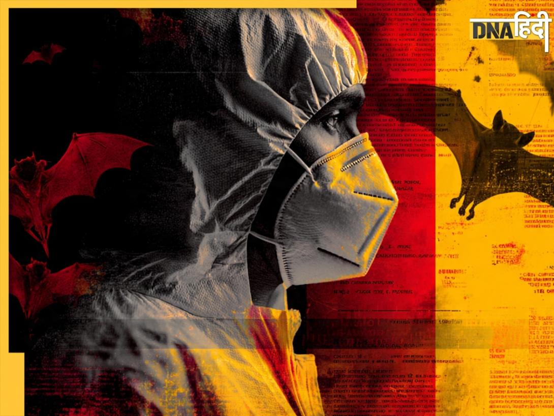 Nipah Virus Myths or Facts: निपाह वायरस कहां से आया? जानें इससे जुड़े आम मिथक और उनकी सच्चाई 