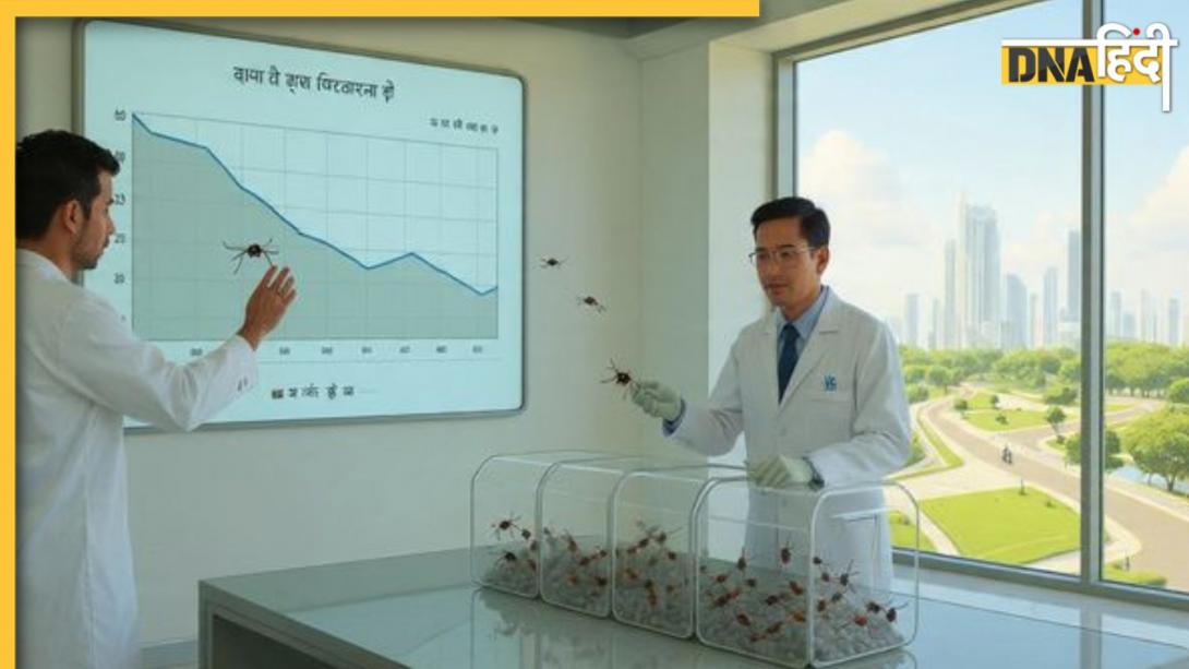 भारत में कुत्तों के बाद अब मच्छरों की 'नसबंदी अभियान', जानिए क्या है अब तक का स्टेट्स और इससे क्या मिलेगी राहत 