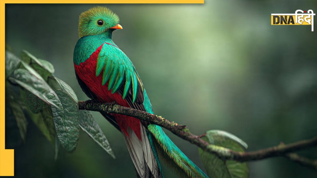 दुनिया का वो देश जिसकी करेंसी का एक चिड़िया पर रखा गया नाम, जानें इसकी दिलचस्प कहानी