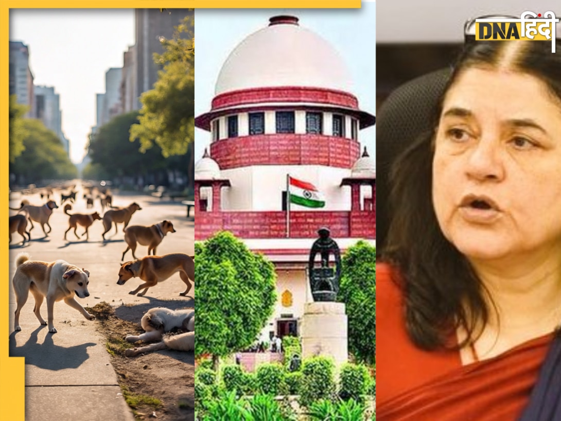 सुप्रीम कोर्ट में आवारा कुत्तों की सुनवाई के बीच क्यों आया कसाब का नाम? मेनका गांधी पर की गई सख्त टिप्पणी