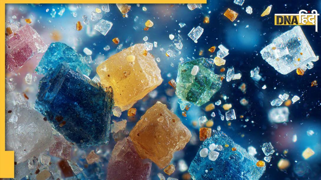 Microplastic in Food: स्टडी में दावा, इन फूड्स में सबसे ज्यादा भरे होते हैं माइक्रोप्लास्टिक! 