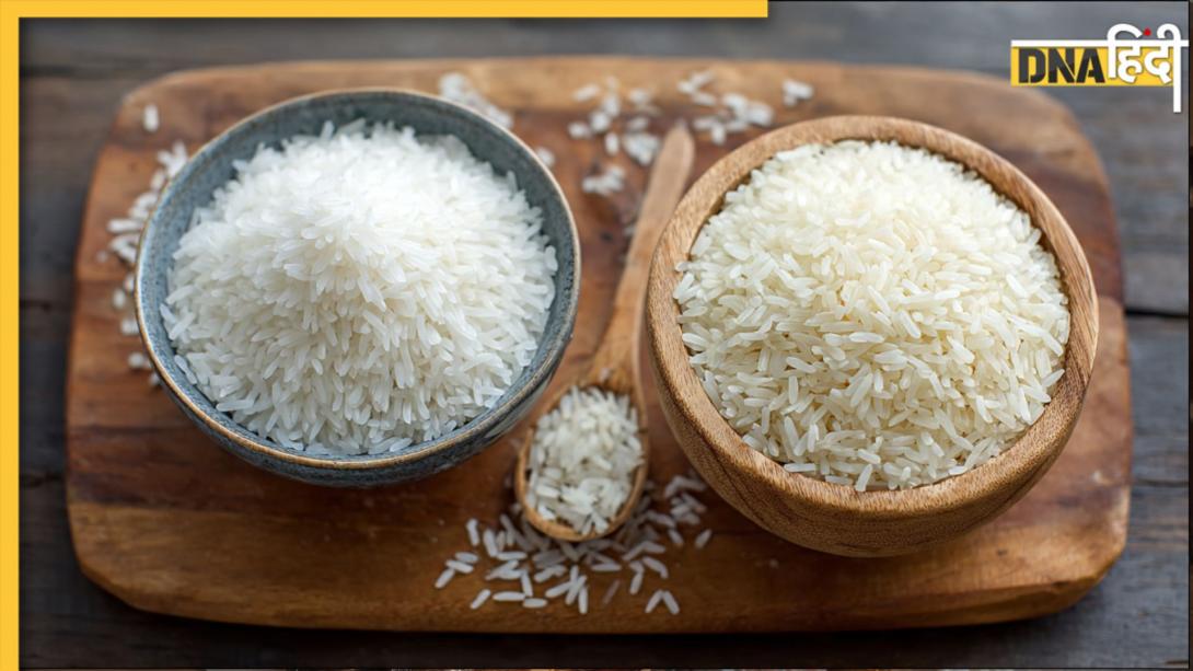 कहीं आप प्लास्टिक वाला चावल तो नहीं खा रहे? असली और नकली में फर्क की पहचान कैसे करें?  
