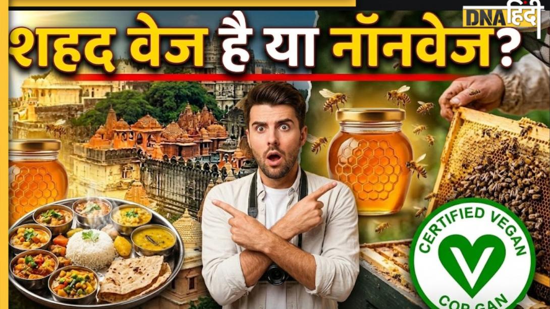 शहद क्या मांसाहारी है? खान सर से समझिए वेज हनी कैसे बनता है नॉनवेज और किस धर्म में इसे खाना वर्जित है