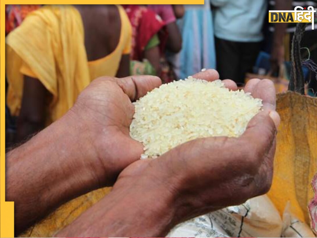सावधान! 31 मार्च के बाद नहीं मिलेगा मुफ्त अनाज, सरकार ने राशन कार्ड धारकों के लिए जारी की सख्त चेतावनी