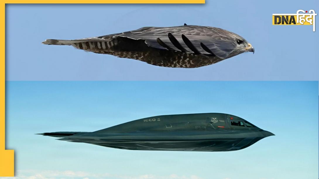 अमेरिका का वो हथियार, जो दुनिया के सबसे तेज पक्षी Peregrine Falcon की तरह करता है हमला