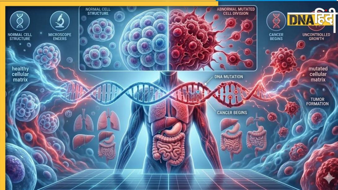 Explainer: एक छोटी सी कोशिका जानलेवा कैंसर कैसे बन जाती है? समझिए शरीर के अंदर कैसे जन्म लेती है यह खामोश बीमारी
