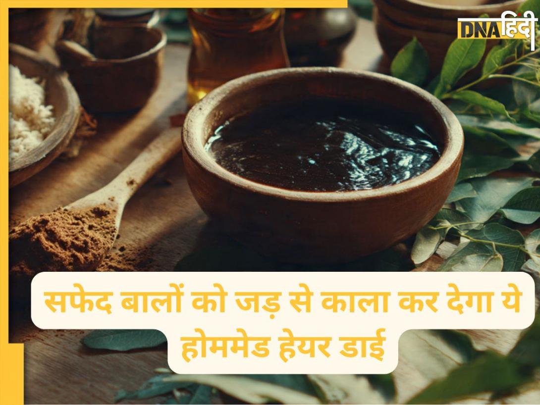 Homemade Hair Dye: सफेद बालों को जड़ से काला कर देगा ये होममेड हेयर डाई, बिना केमिकल के मिलेगा नेचुरल रंग