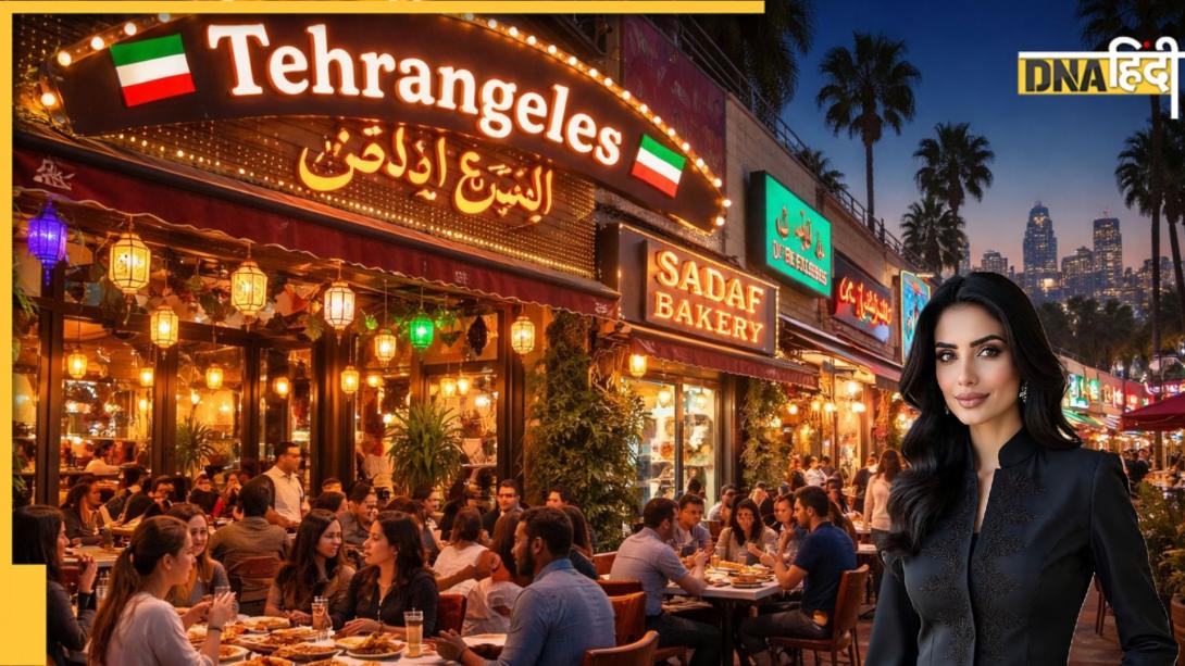 US में कहां बसा है 'लिटिल ईरान', जहां के कबाब, चेरी राइस और फारसी ब्रेड के मुरीद हैं अमेरिकी