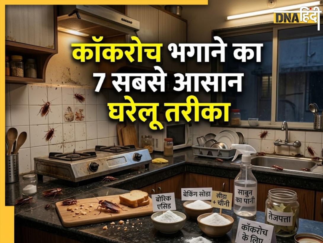 Cockroach Repellent: किचन में कॉकरोच से हो गए हैं परेशान, इन आसान 7 तरीकों से घर में एक भी नहीं आएंगे नजर 