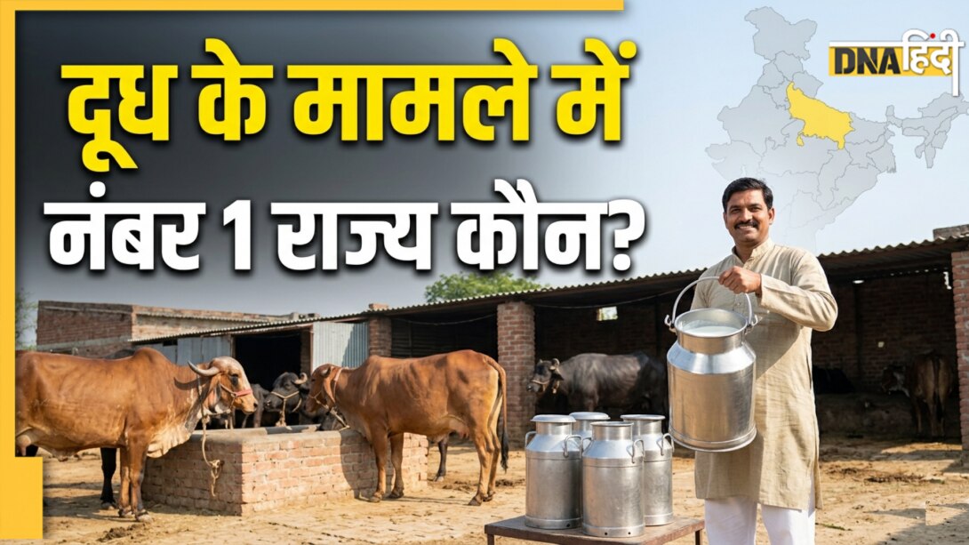 भारत के किस राज्य में सबसे ज्यादा होता है दूध का उत्पादन? ये स्टेट अकेले पूरा कर रहा 16% डेयरी जरूरतें
