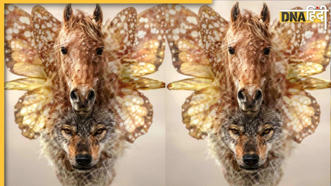 Optical Illusion: इस तस्वीर में सबसे पहले आपको कौन सा जानवर दिखा? जानिए क्या है आपका सबसे बड़ा डर  