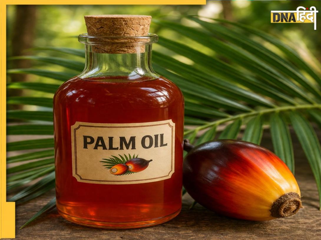 पाम ऑयल का अनियंत्रित विस्तार: भारतीय मेटाबॉलिज्म और जन-स्वास्थ्य के समक्ष एक 'साइलेंट क्राइसिस'