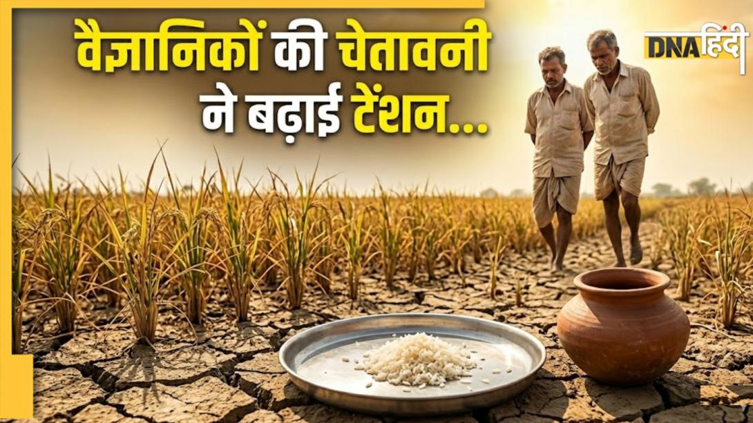 यूपी-बिहार वालों ध्यान से सुनो! कुछ ही सालों में प्लेट से गायब हो जाएगा चावल, वैज्ञानिकों का बड़ा खुलासा