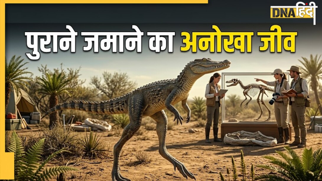 डायनासोर जैसा दिखने वाला मगरमच्छ का रिश्तेदार, 'इंसानी चाल' देखकर वैज्ञानिक भी रह गए हैरान!