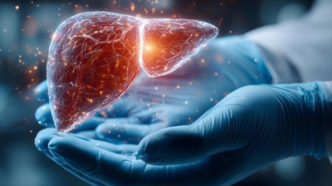 लिवर सिरोसिस होने पर शरीर में दिखाई दे सकते हैं ये 5 लक्षण, डॉक्टर से जानें बचाव के आसान तरीके
