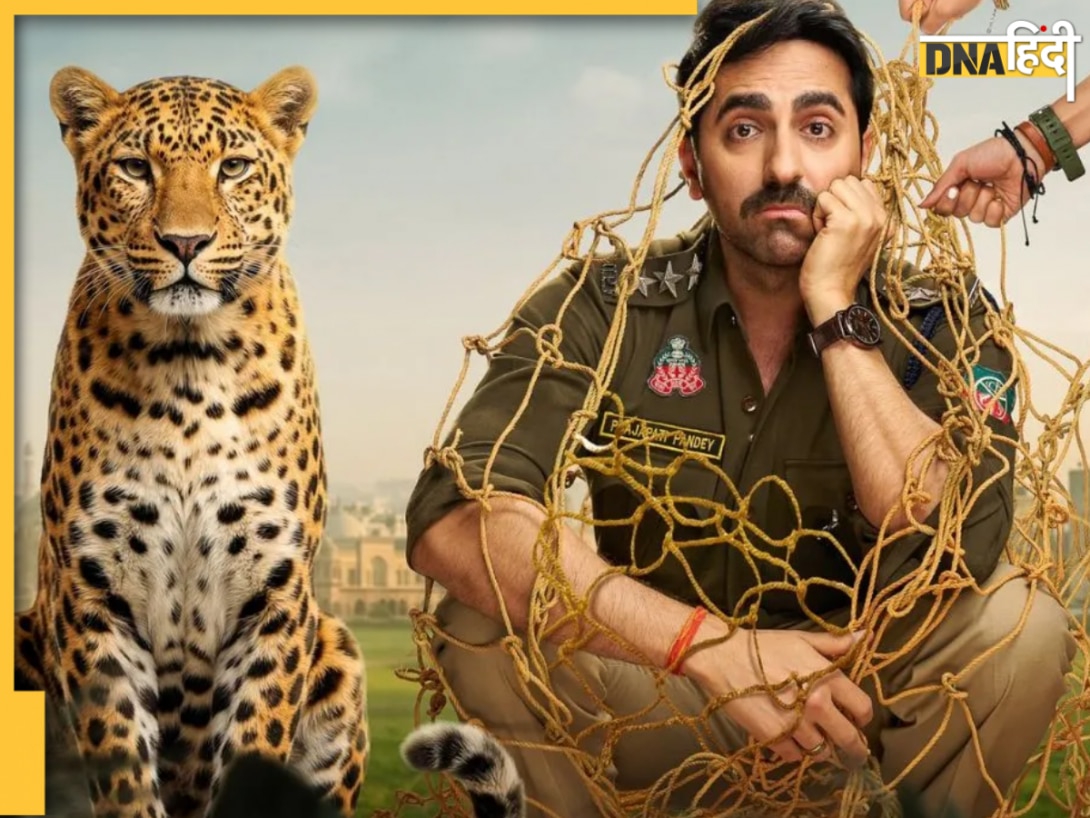 Pati Patni Aur Woh Do का नया पोस्टर आउट, सारा अली खान-रकुल प्रीत संग जानें कब 'प्रजापति पांडे' बनकर लौटेंगे आयुष्मान खुराना?