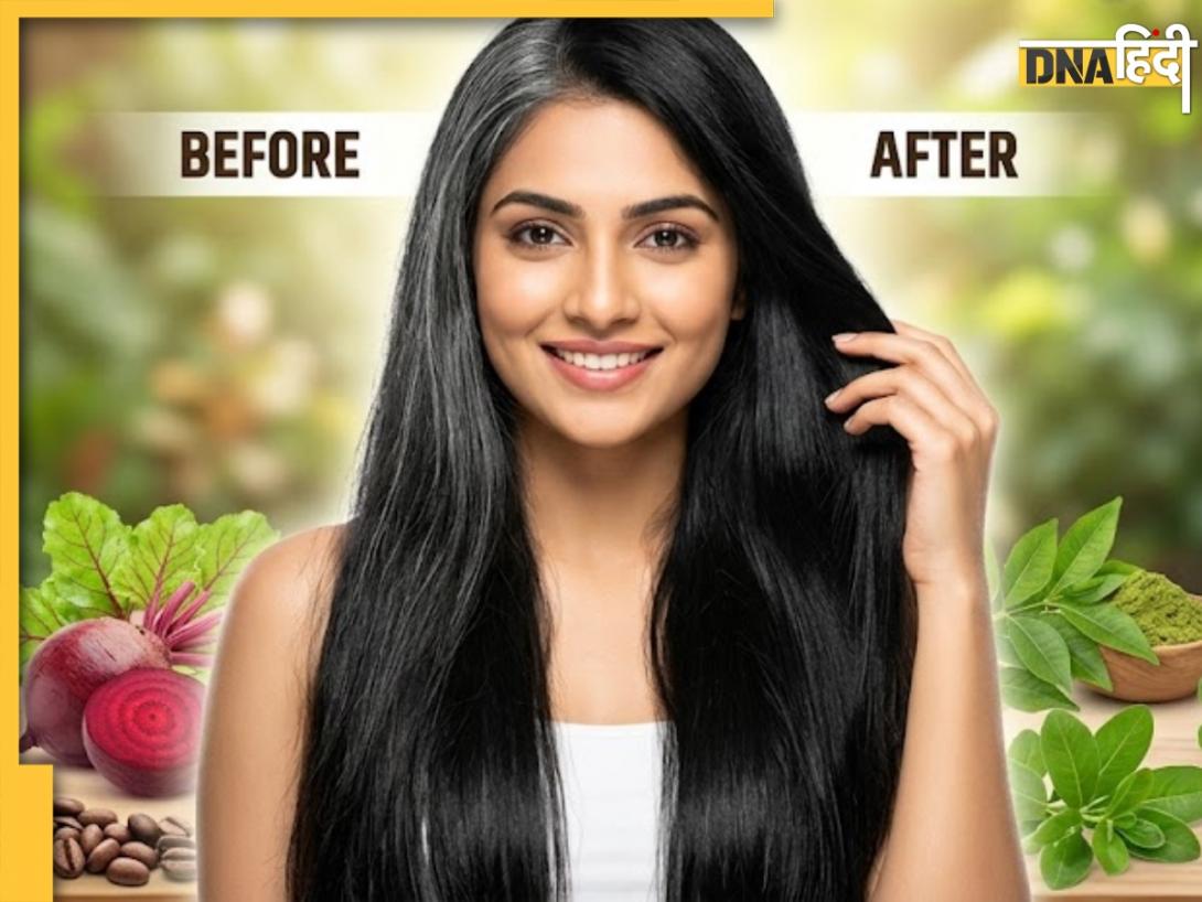 DIY Hair Dye: कॉफी, चुकंदर, मेहंदी और ब्राह्मी... सफेद बालों को जड़ से काला करेंगी ये 4 चीजें, इनसे बनाएं नेचुरल हेयर डाई