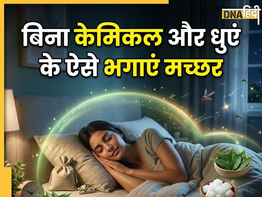Mosquito Killer: ना कोई केमिकल, ना धुआं... मच्छर भगाने का ये है देसी जुगाड़, सोते समय रखें अपने पास