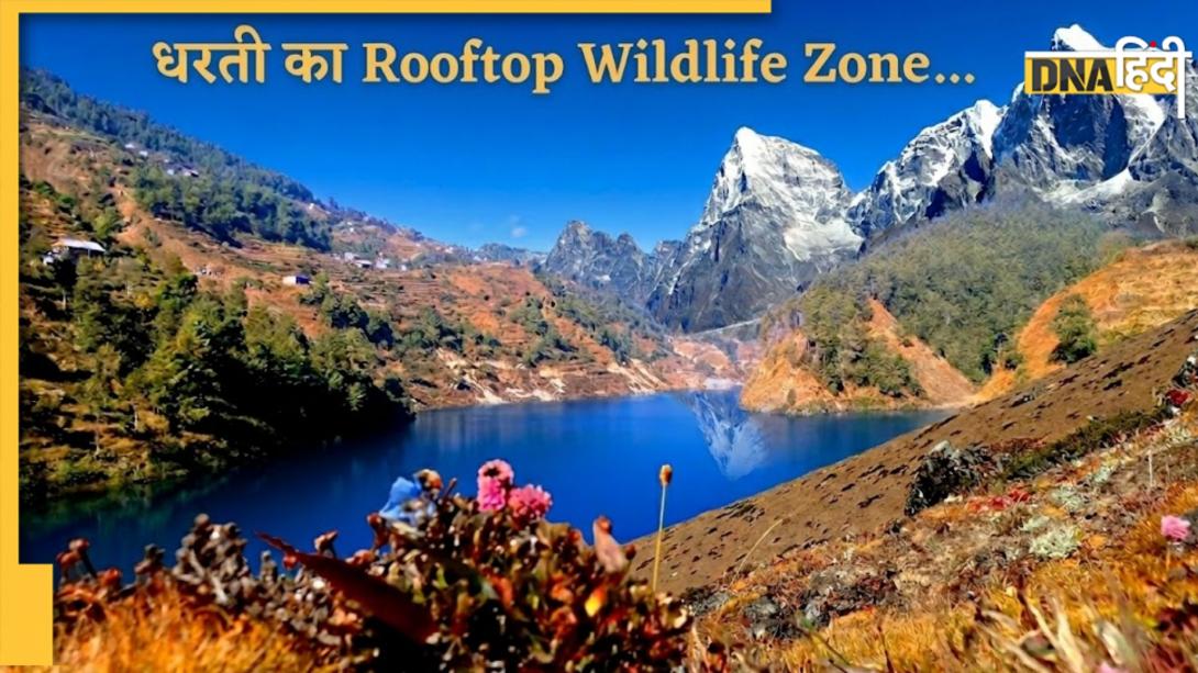 दुनिया का सबसे ऊंचा नेशनल पार्क कौन-सा है?  धरती के 'रूफटॉप वाइल्डलाइफ जोन' में इंसानों से ज्यादा पाए जाते हैं जानवर