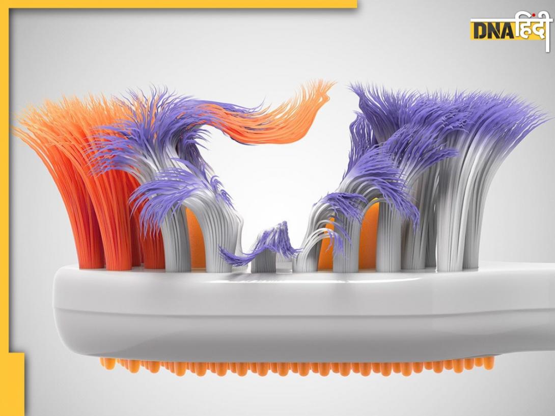 आप जानते हैं क्या होती है टूथब्रश की एक्‍सपायरी डेट? ज्यादा इस्तेमाल करने से ओरल हेल्थ पर पड़ सकता है बुरा असर 