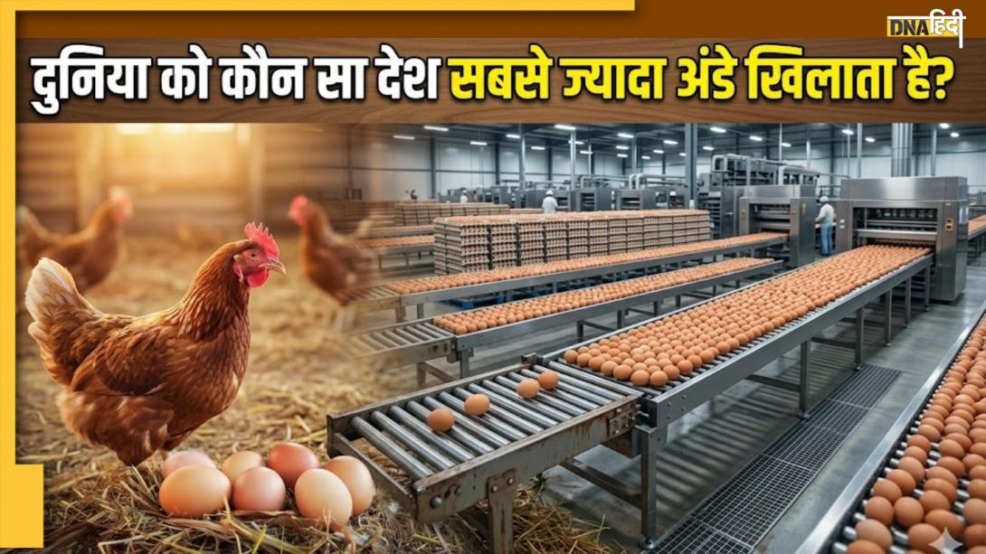 दुनिया के किस देश में होता है सबसे ज्यादा अंडों का उत्पादन? जानें किस पायदान पर आते हैं भारत और चीन