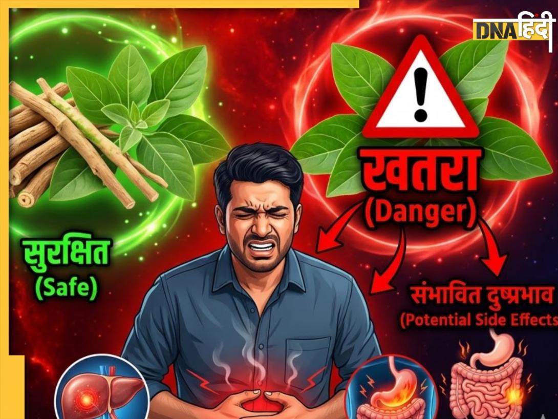 अश्वगंधा को औषधि मानकर खूब कर रहे हैं इस्तेमाल? कहीं पड़ न जाए भारी! FSSAI ने जारी की चेतावनी