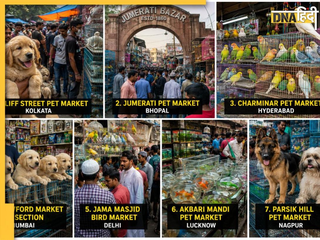 भारत की 5 सबसे बड़ी Pet मार्केट, जहां सस्ते में मिलती है डॉग से लेकर विदेशी बर्ड तक हर नस्ल के पालतू जानवरों की वैरायटी