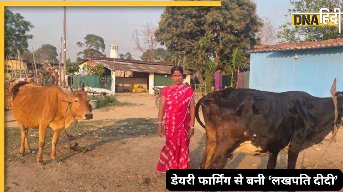 Sucess Story: 60 हजार लोन लेके शुरू किया सफर! आज सालाना ₹3.5 लाख का टर्नओवर, जानिए ‘लखपति दीदी' की कामयाबी का मंत्र