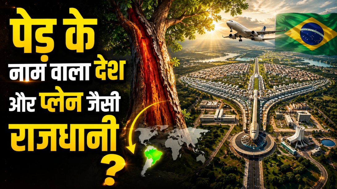 दुनिया का इकलौता देश जिसका एक पेड़ पर रखा गया नाम, हवाई जहाज के आकार की है इसकी राजधानी