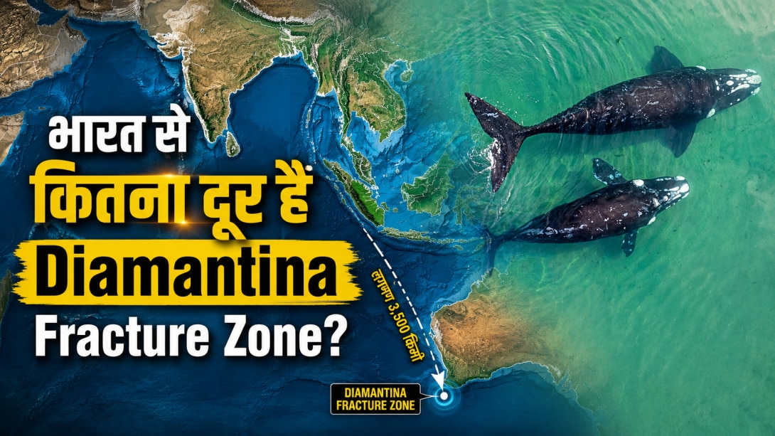 समुद्र में 'मौत का गलियारा' जहां जाकर कभी वापस नहीं आती व्हेल, जानें इस रहस्यमयी जगह पर कैसे मरना भी है फायदे का सौदा
