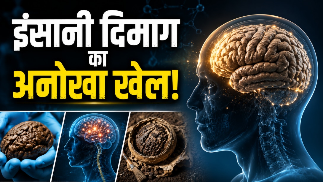 शरीर के बाकी हिस्से गल गए, फिर दिमाग कैसे बचा रहा? हजारों साल पुराने ब्रेन ने वैज्ञानिकों को दिया बड़ा सुराग